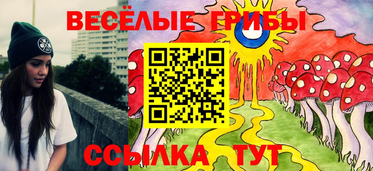 Конаково  Псилоцибиновые грибы прущие грибы  Вход с VPN  Галлюциногенные грибы Psilocybine cubensis 