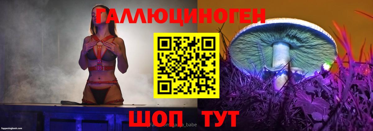 Псилоцибиновые грибы Psilocybe Конаково